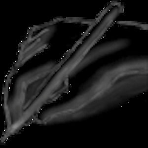 Meet your Posher, Ann